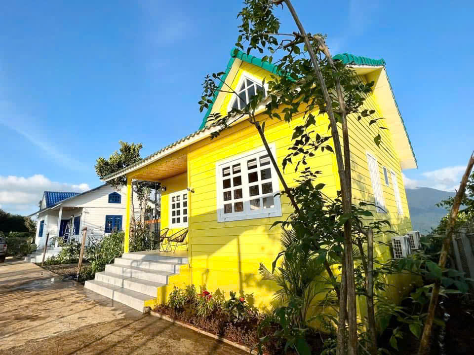 Ngôi nhà gỗ sơn vàng trên đồi ở Tà Đùng